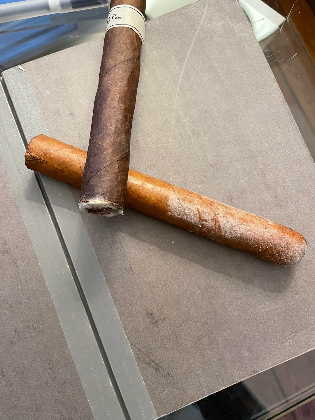 Cigar Mold: What It Is and How to Get Rid of It