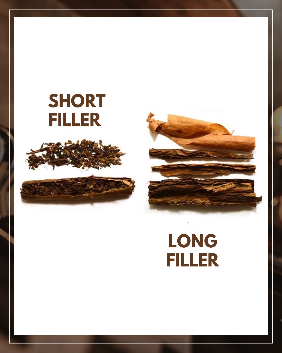 Long-Filler vs. Short-Filler Cigars: A Deep Cut into Tobacco Craftsmanship