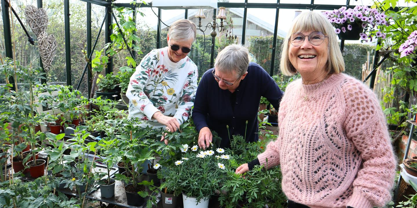 Helga Johannessen, Astrid Fjeld og Anne Grete Hognestad fotografert under Grøn dag på Undheim