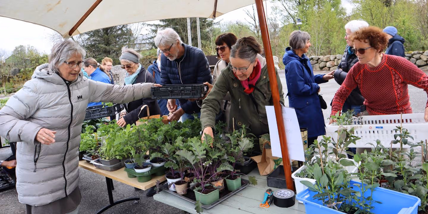 Grøn dag på Undheim