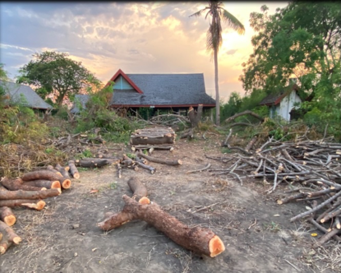Bildet viser et nedslitt internatbygg på Tsarafototra med nedhugde trestammer liggende foran