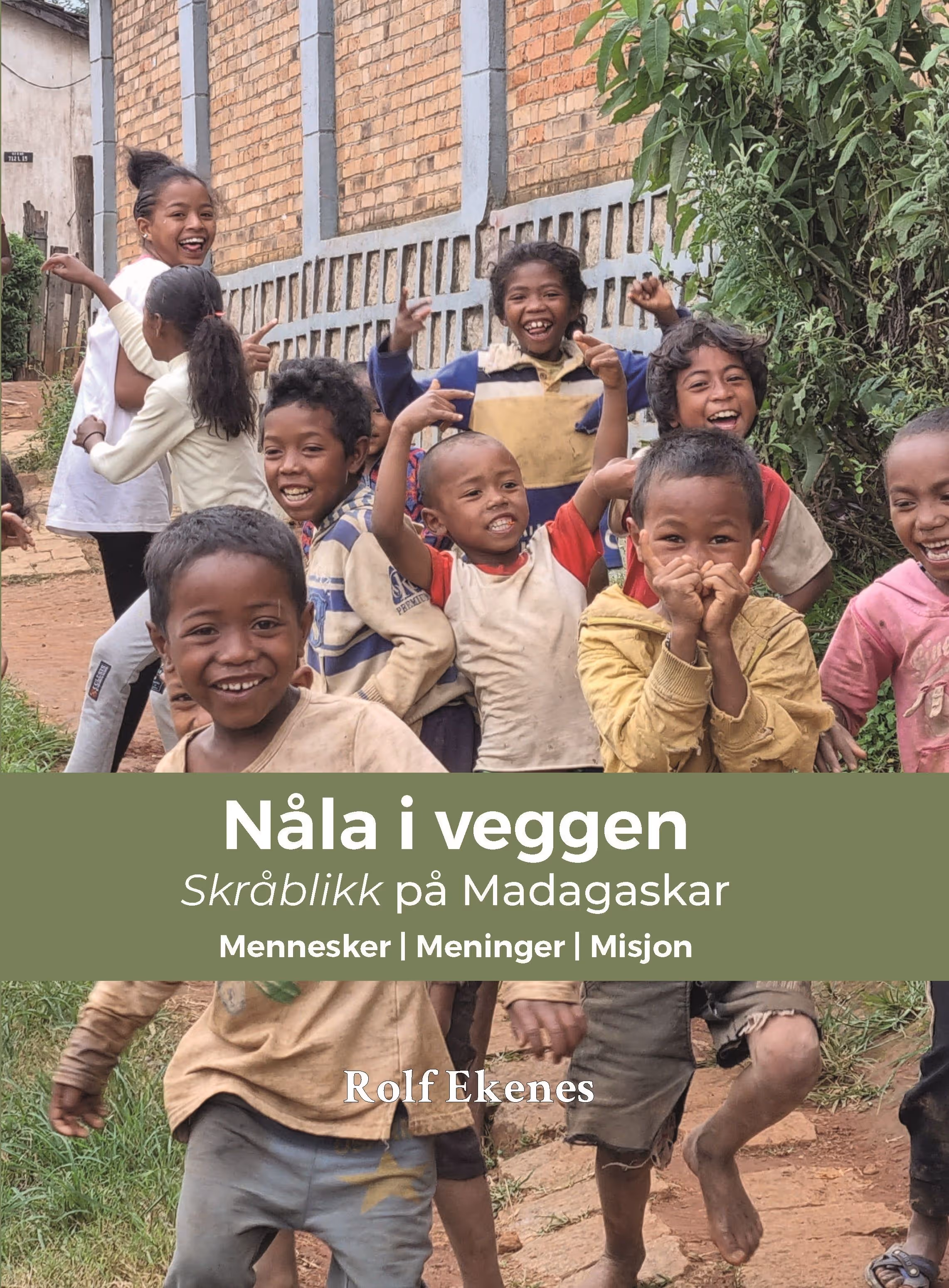 Bildet viser bokcoveret til Nåla i veggen, skrevet av Rolf Ekenes