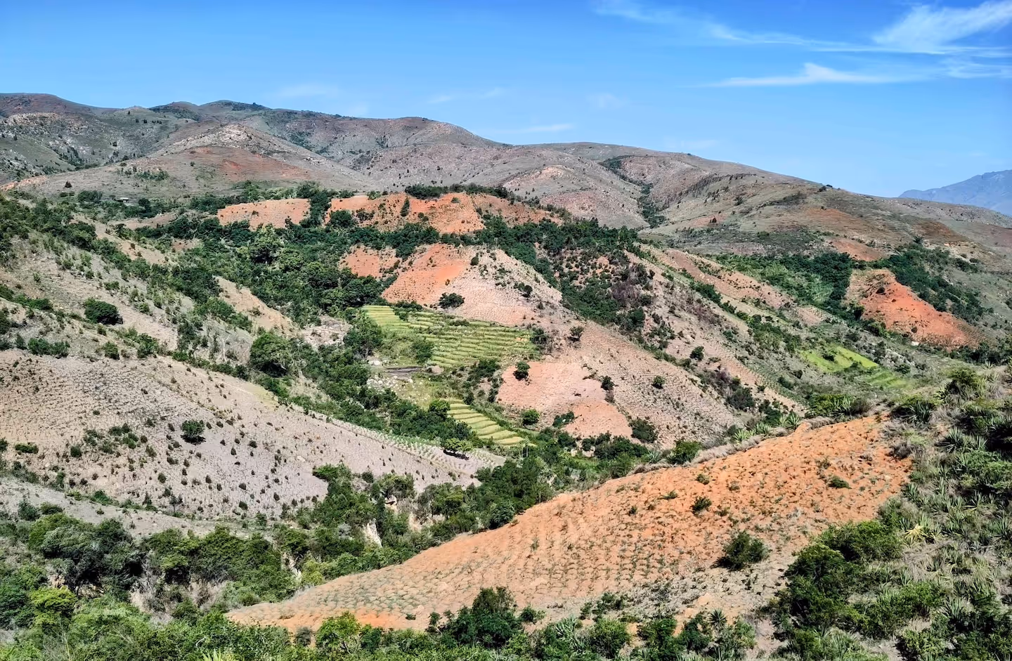 Bildet viser et tørt landskap
