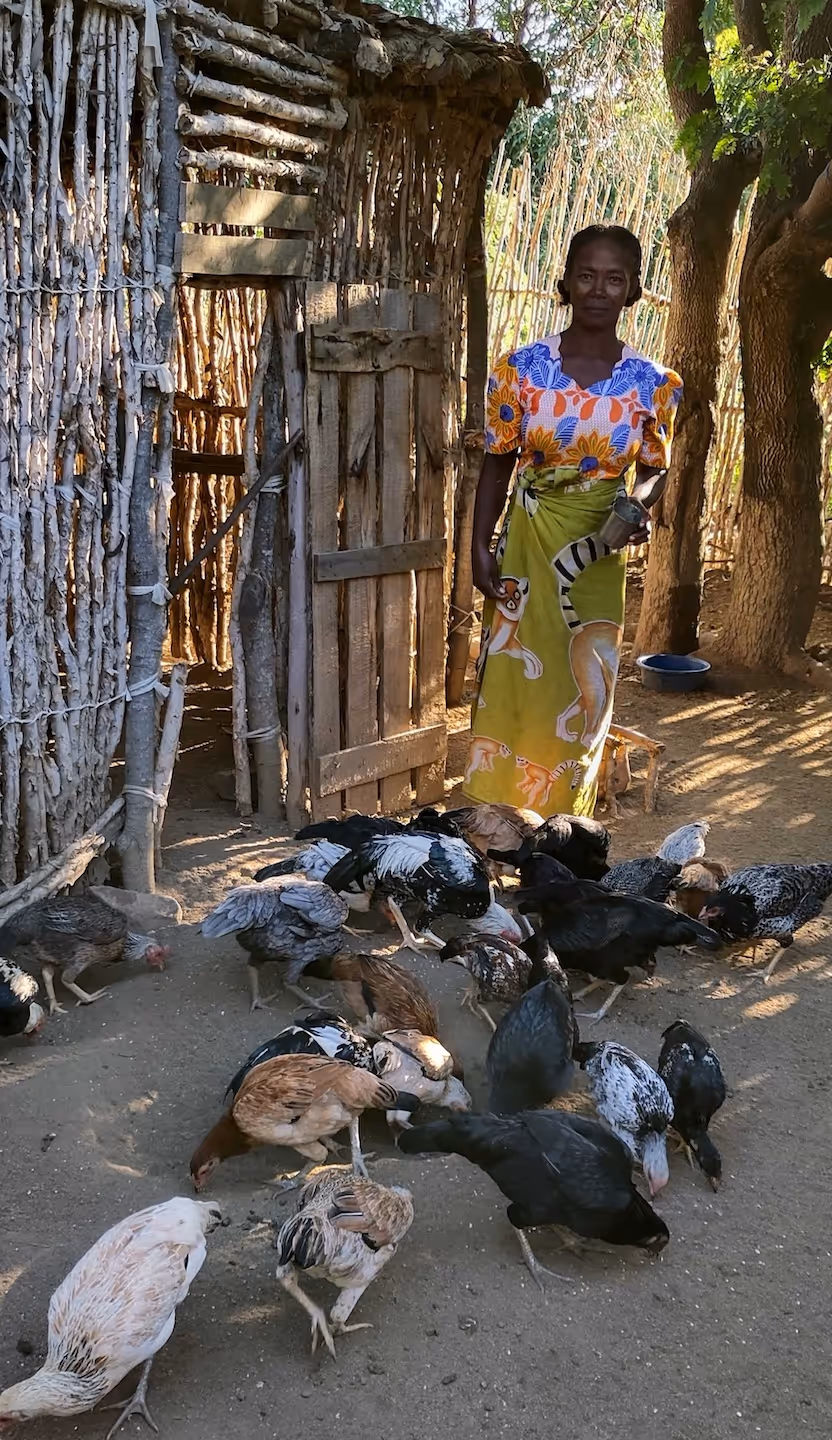 Bildet viser ei dame stående bak en flokk med høns