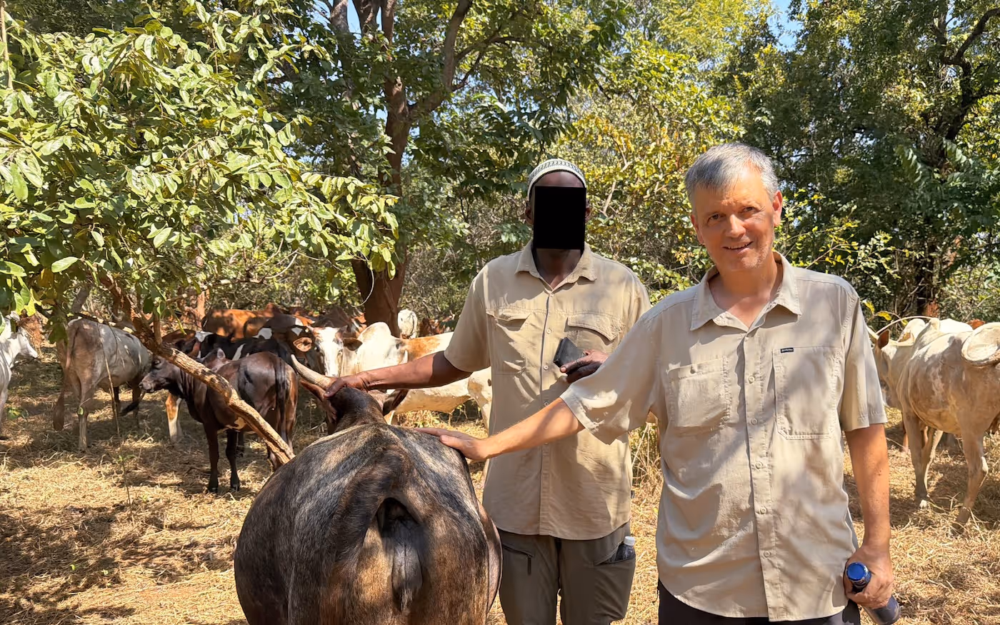 Bildet viser Frode Brügger Sæthre sammen med en anonymisert fulaner. De står ved siden av ei ku