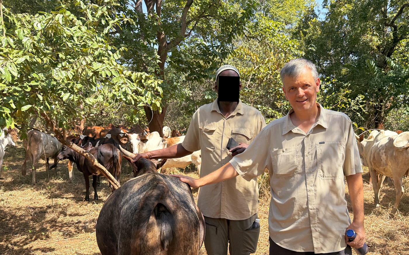 Bildet viser Frode Brügger Sæthre sammen med en anonymisert fulaner. De står ved siden av ei ku