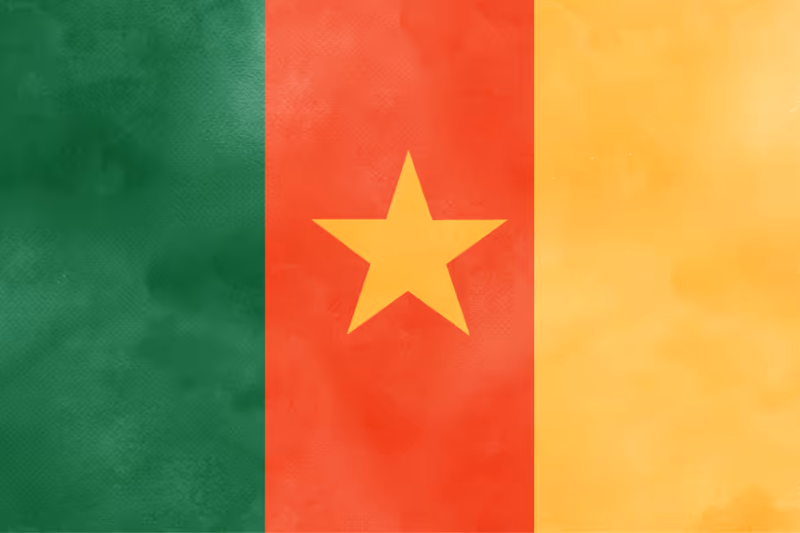 Bildet viser det kamerunske flagget