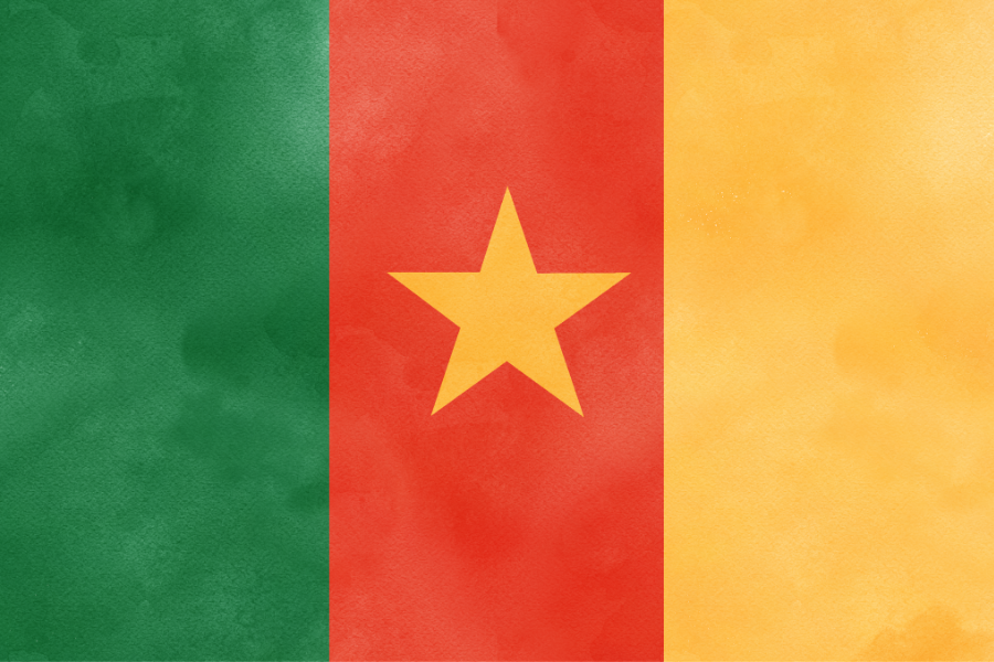 Bildet viser Kameruns flagg