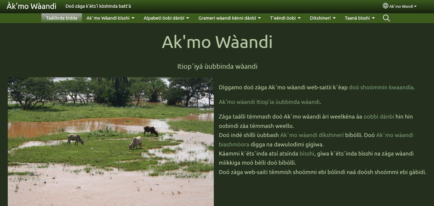 Bildet viser en skjermdump fra en nettside på hozo