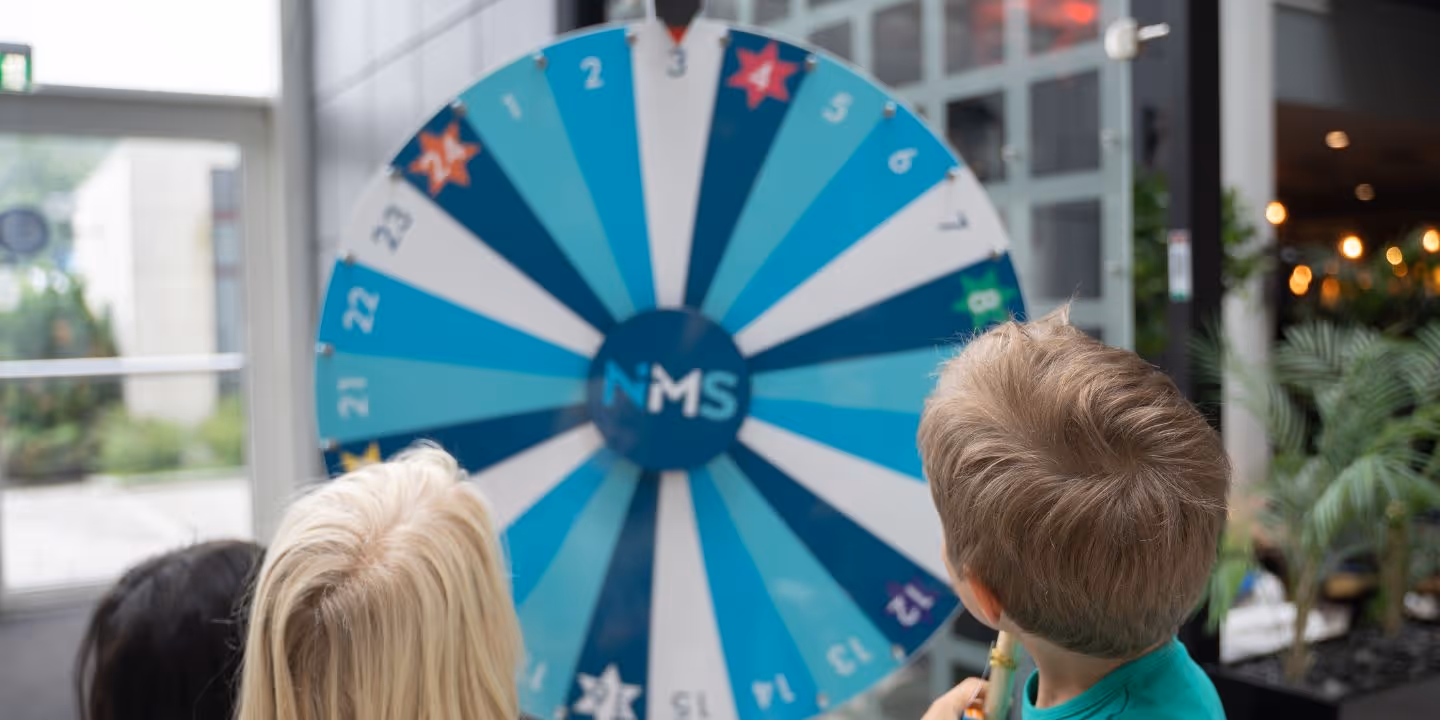 Bildet viser bakhodet til to barn som ser mot et NMS-lykkehjul