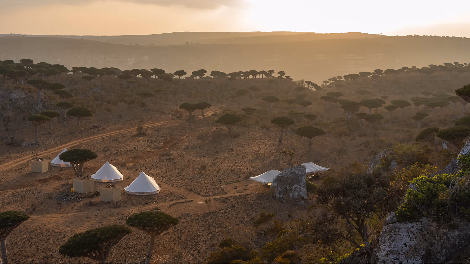 Elegant luxury desert safari camp under starry skies at sunset amidst scenic trees surroundings