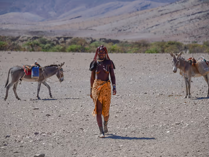 Man trekking on desert trails with pack donkeys in Africa's rugged landscape scenery.