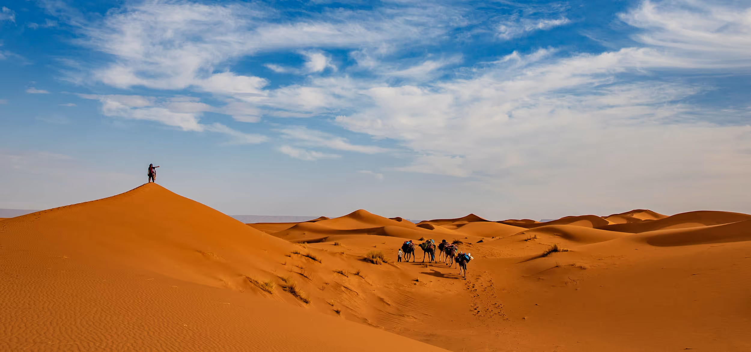Desert landscapes with camels roaming freely amidst vast blue desert skies and golden terrain.