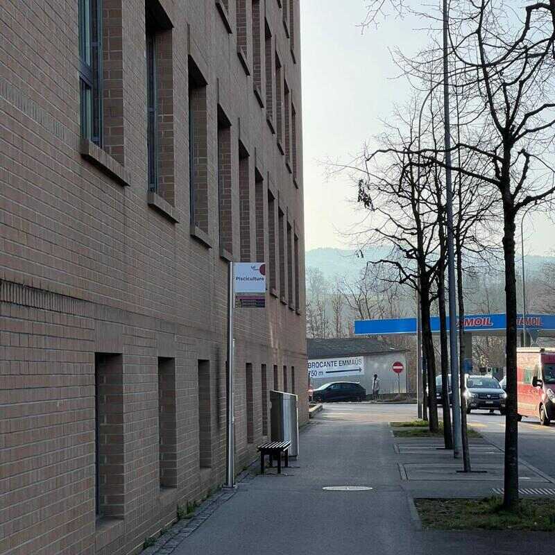 Arrêt Fribourg, Pisciculture