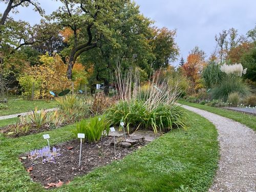 Jardin botanique