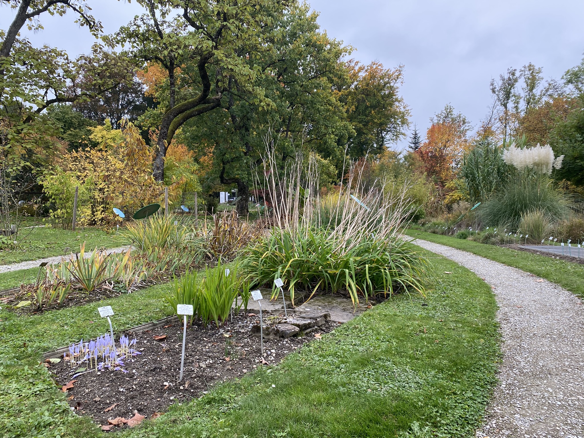 Botanischer Garten 