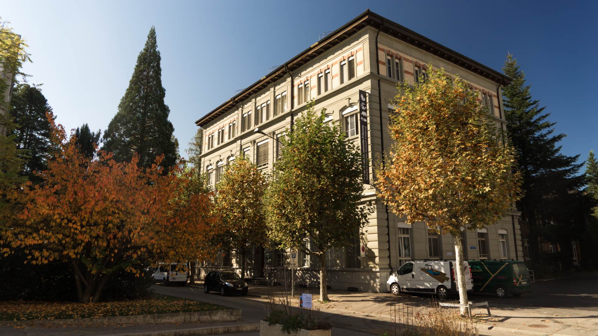 Naturhistorisches Museum Freiburg