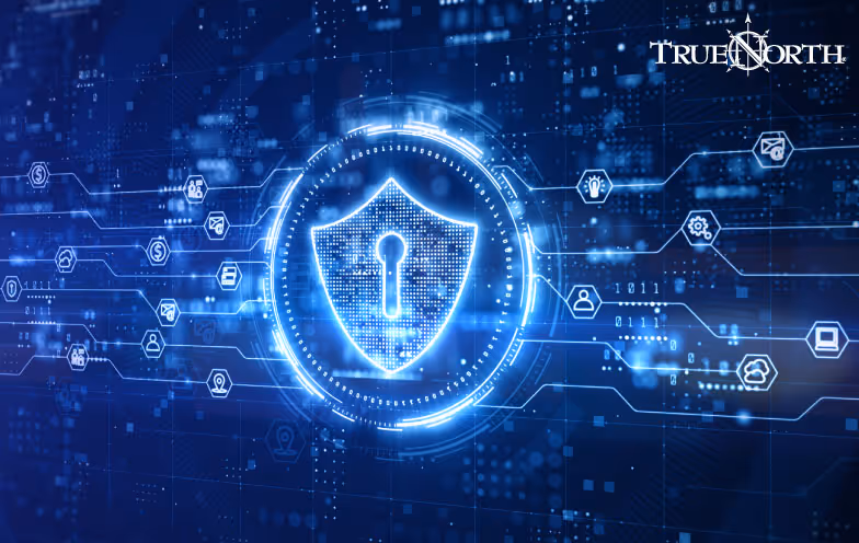 graphic of a key within a digital shield