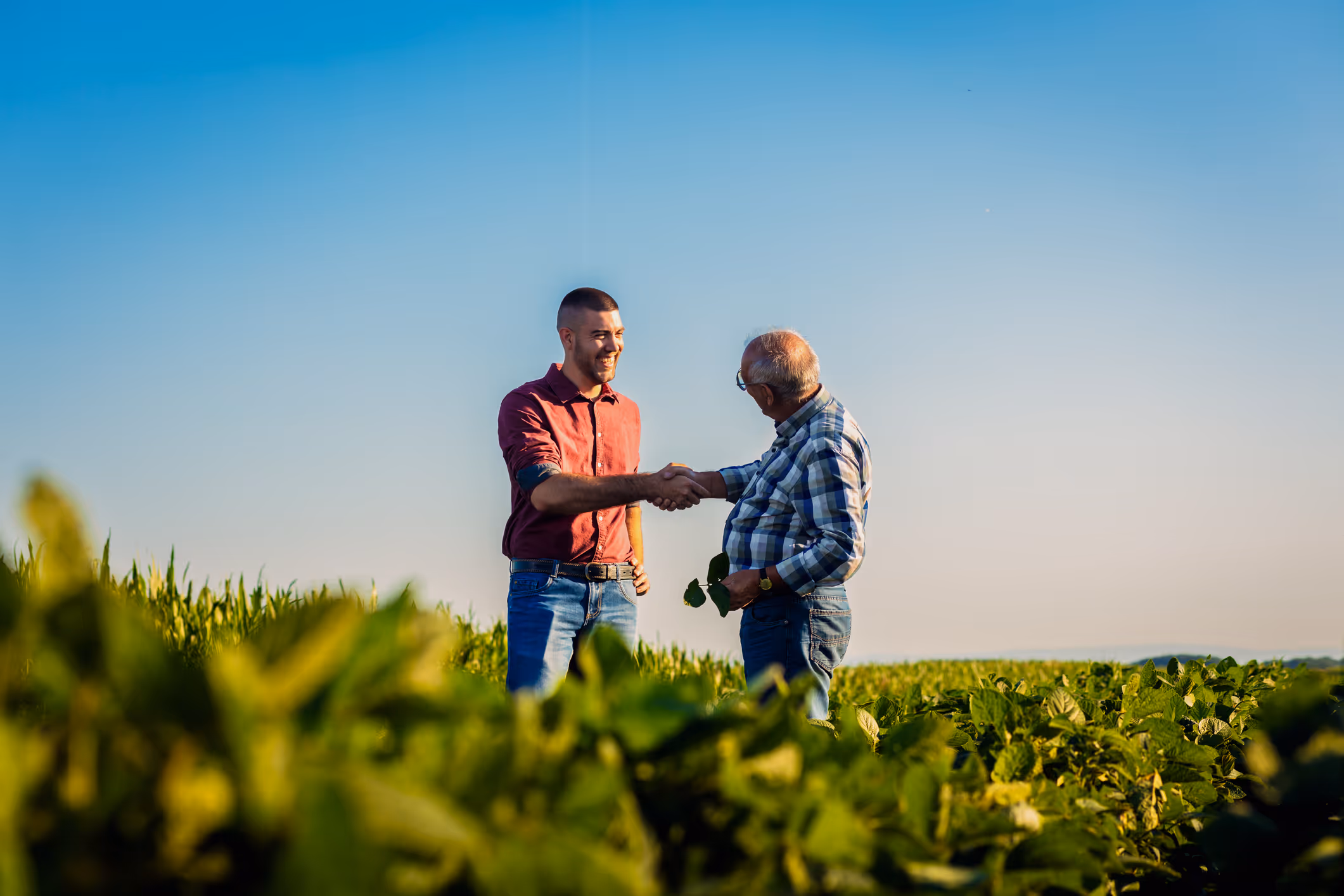 Two agribusiness professionals shaking hands