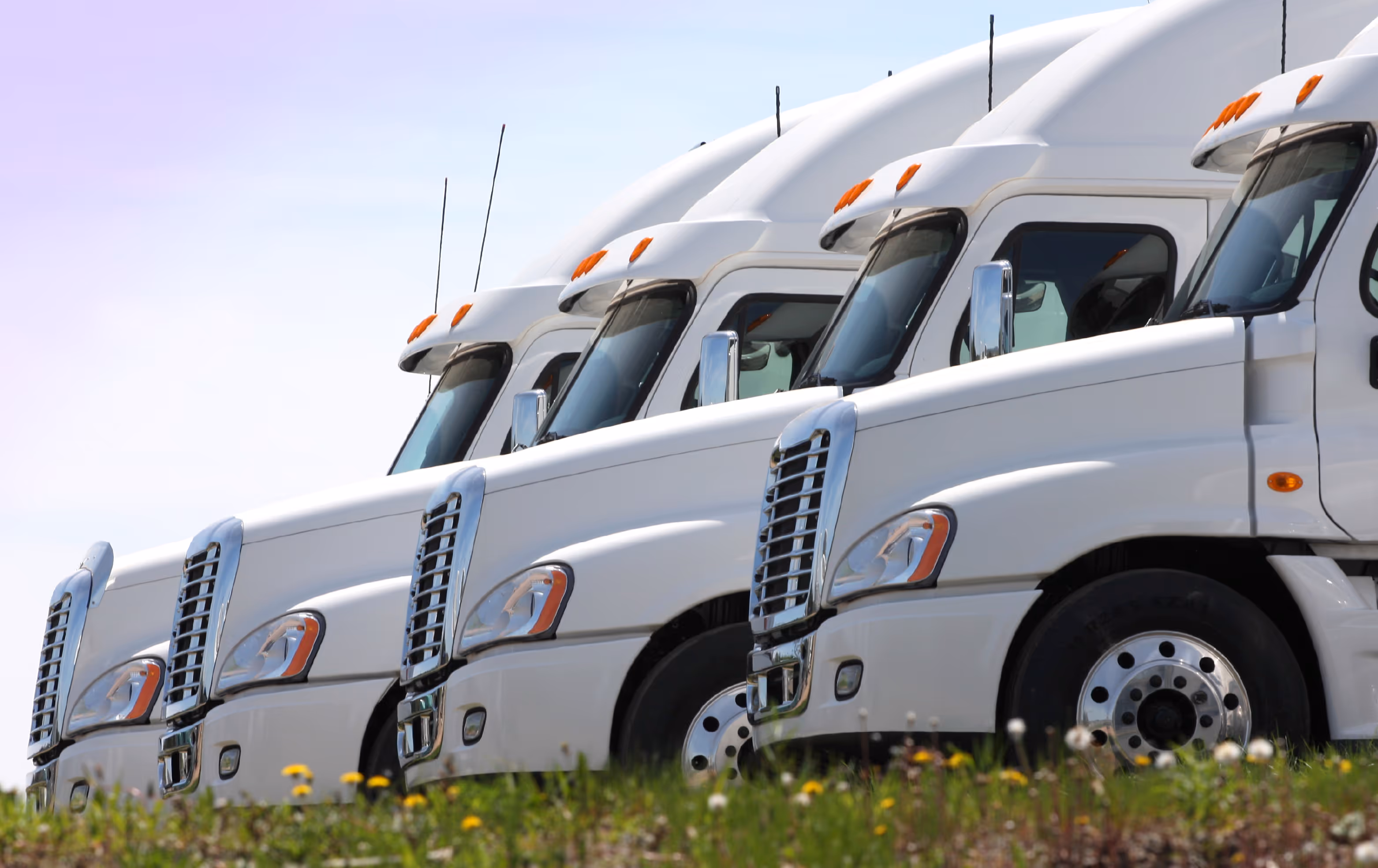 row of semi truck cabs