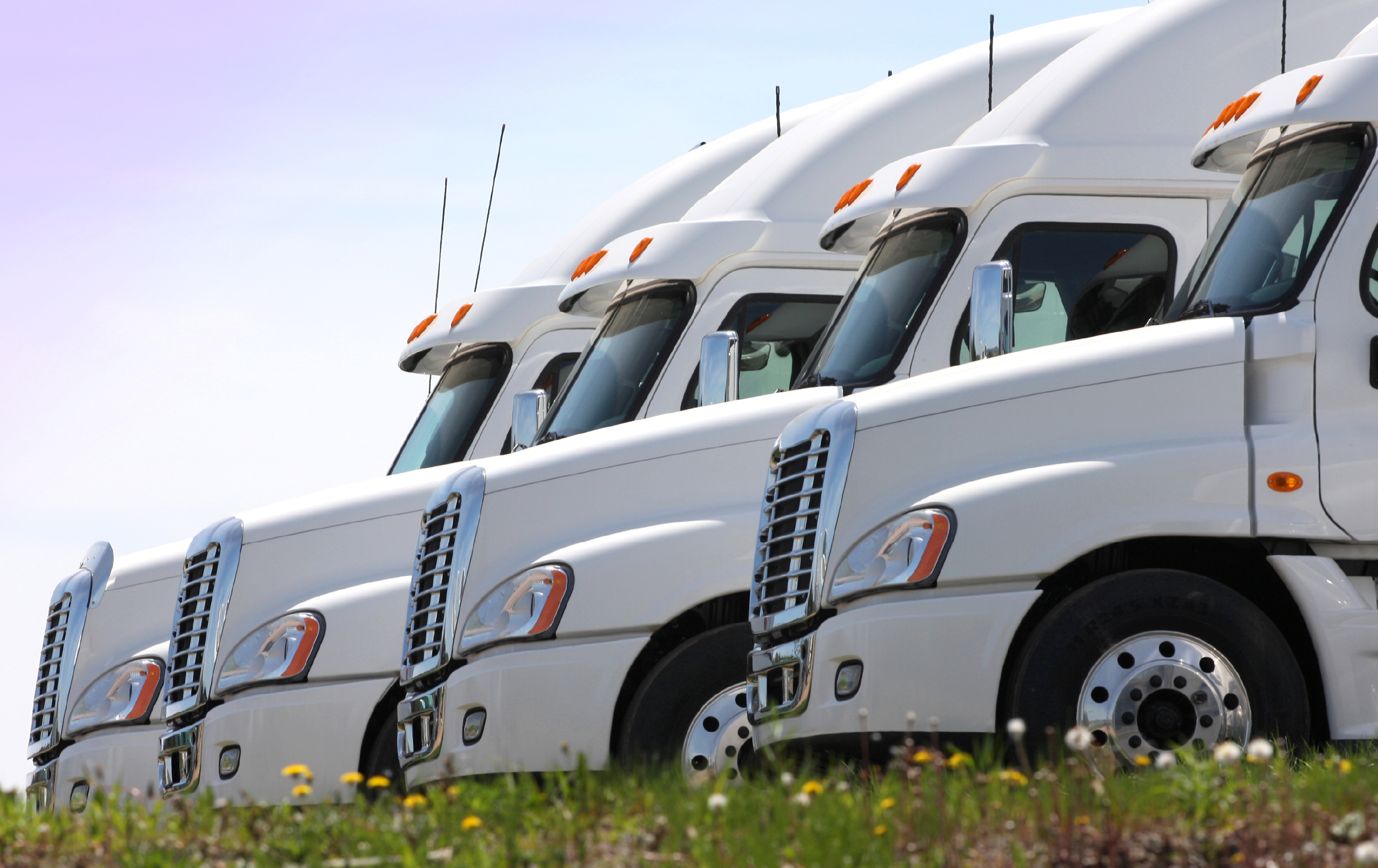 row of semi truck cabs