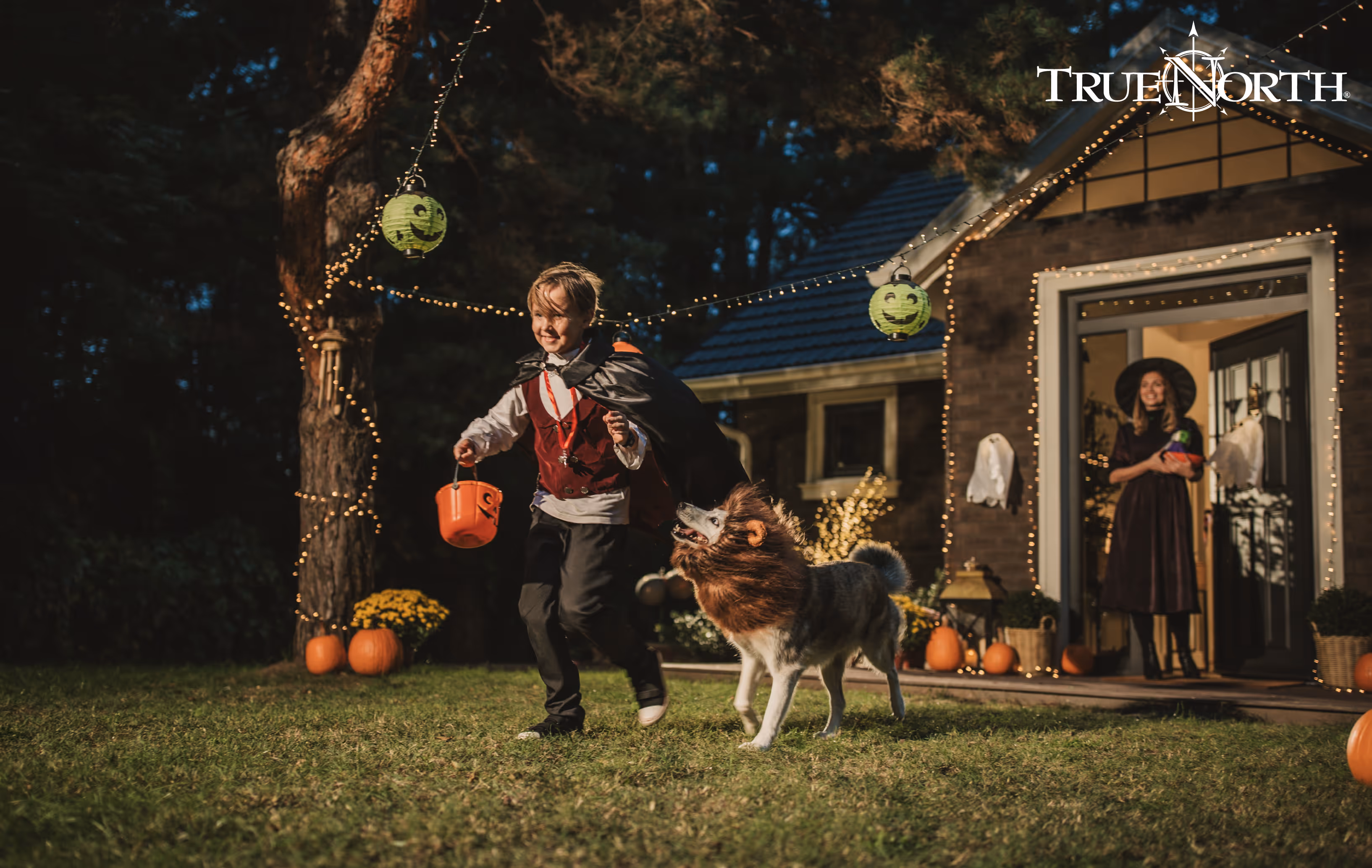 Child with candy and dog wearing a costume