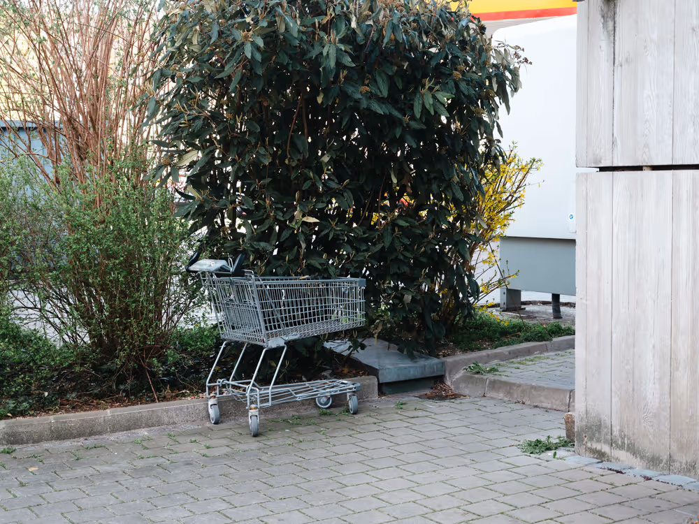 a shopping cart on a sidewalk next to a tree