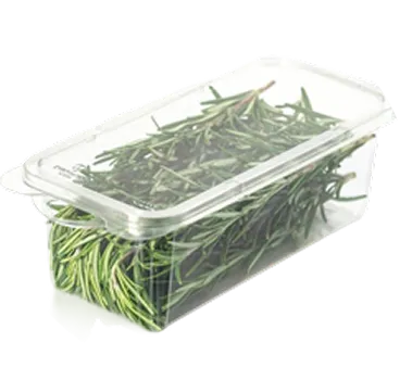 Tray