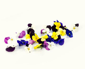 Edible violets: from garnish to natural aspirin