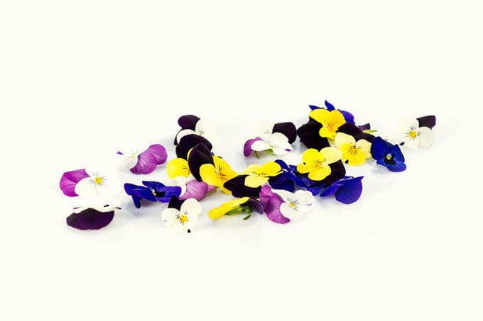 Edible violets: from garnish to natural aspirin