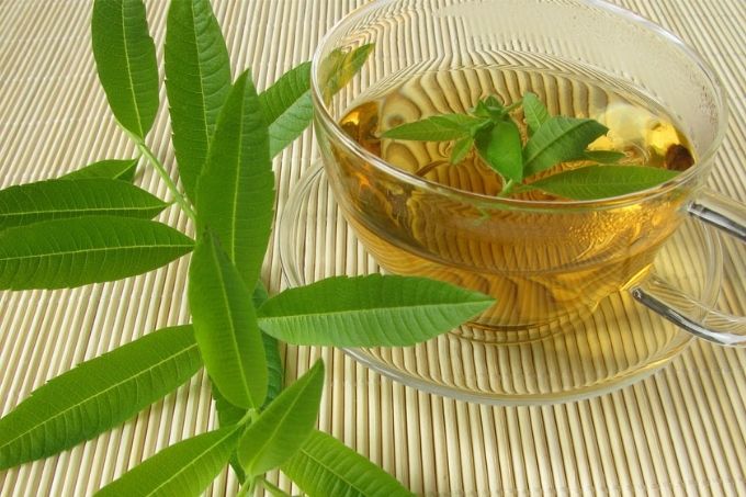 Lemon verbena tea: delicious and soothing