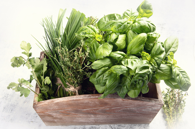 The best wholesale for fresh herbs and spices