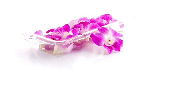 Eetbare bloemen bestellen orchideen