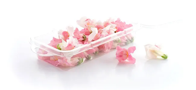 Eetbare bloemen bestellen leeuwebekjes