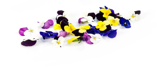 Eetbare bloemen bestellen viooltjes