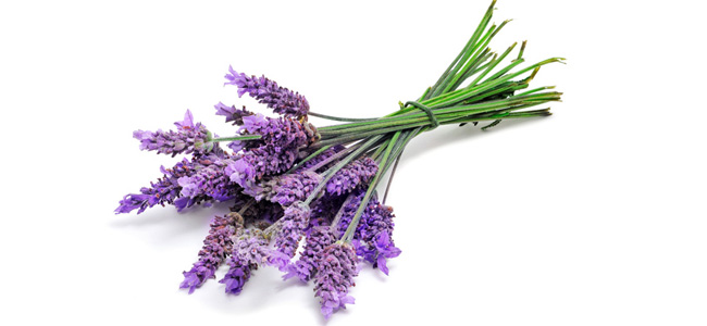 Eetbare bloemen bestellen lavendel