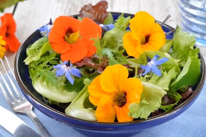 6 eetbare bloemen die je online kunt bestellen?