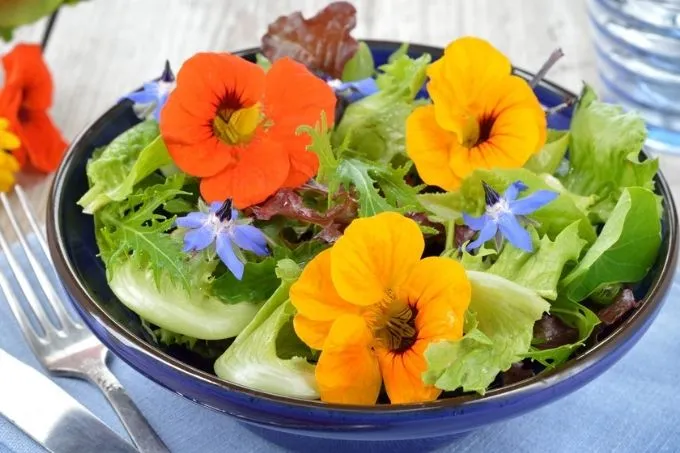 6 eetbare bloemen die je online kunt bestellen?