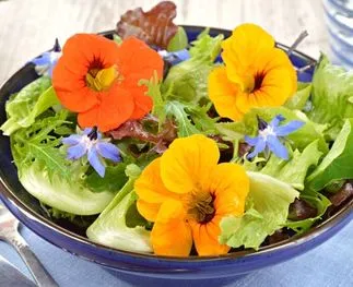 6 eetbare bloemen die je online kunt bestellen?