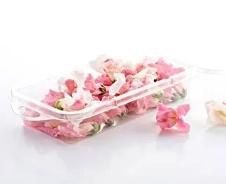 Bloemen leeuwenbekjes: mooi en eetbaar!