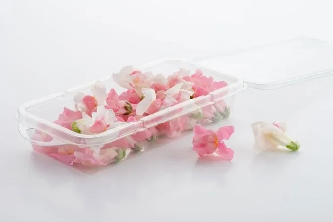 Bloemen leeuwenbekjes: mooi en eetbaar!