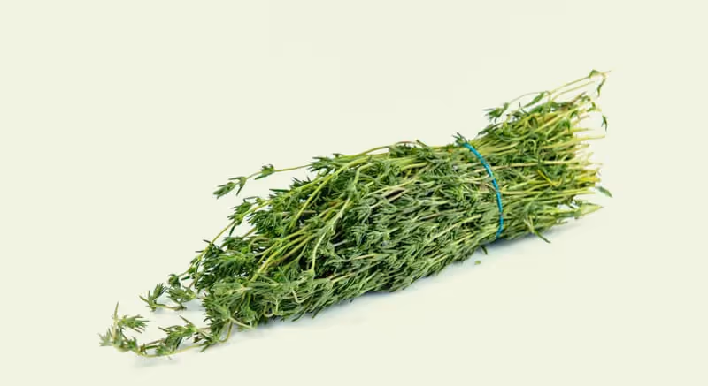 Bonenkruid: de ideale vervanger voor peper en zout