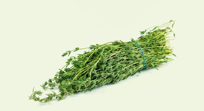 Bonenkruid: de ideale vervanger voor peper en zout