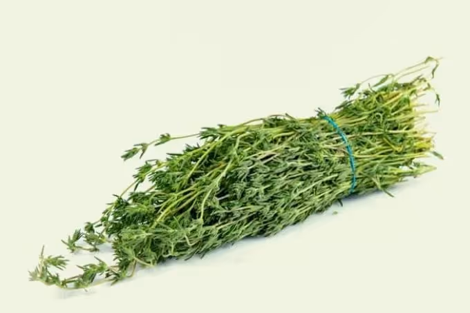 Bonenkruid: de ideale vervanger voor peper en zout
