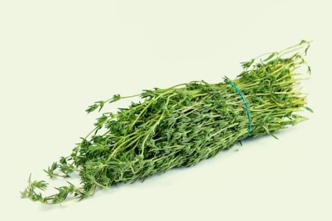 Bonenkruid: de ideale vervanger voor peper en zout