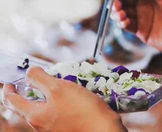 De beste groothandel voor biologische eetbare bloemen