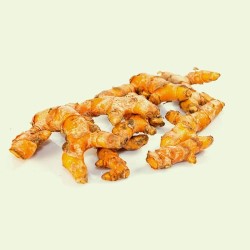 Curcuma