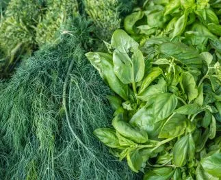 De belangrijkste kruiden om in bulk te bewaren in de keuken