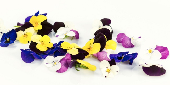 Viooltjes