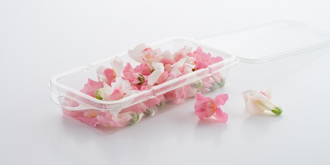 Leeuwebekjes Bloemen